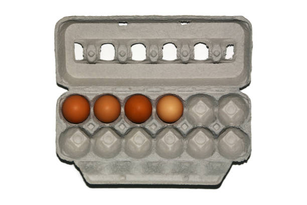 Eggs - fotografia de stock