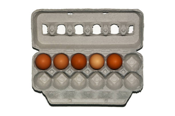 Eggs - fotografia de stock