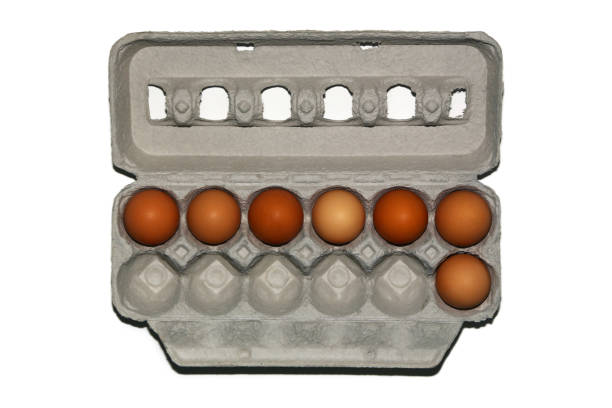 Eggs - fotografia de stock