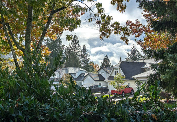istock Neighbourhood after a Shower in Surrey, Canada 1804321774