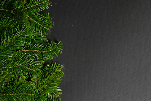 Christmas fir tree branch border fame on black paper stylish background with copy space for text