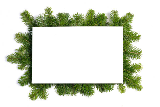 istock Christmas border of fir branches 1804321783