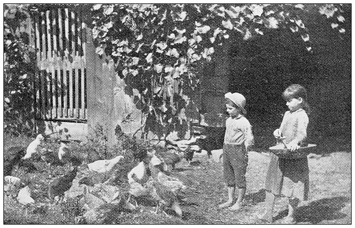 Antique image of Hampden County, Massachusetts: Children feeding chickens