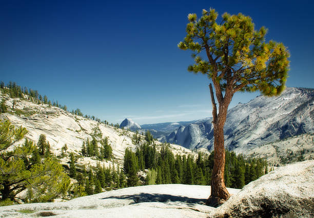 Yosemite National Park, Olmsted Point near Tioga Pass Road, California stock photo
