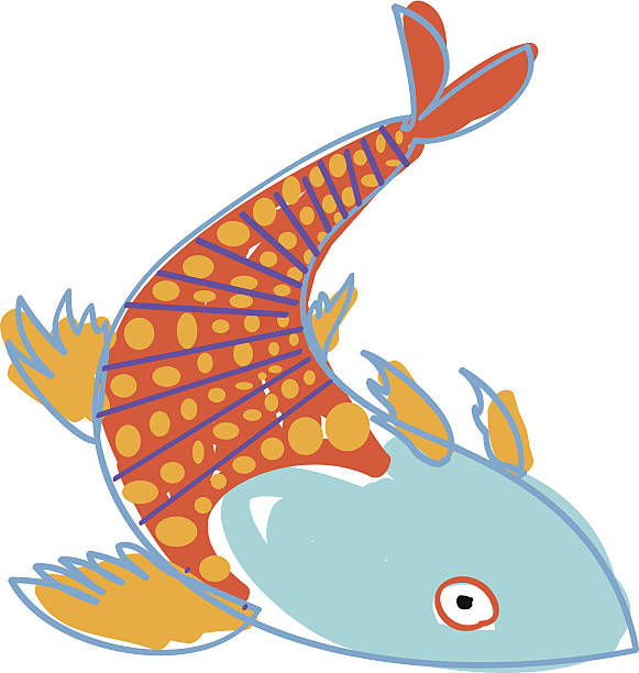 Koi Fish vector art illustration