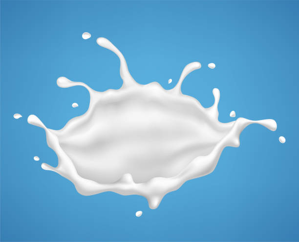 istock Milk splash. Realistic milky splashes and drops of dairy drink or yoghurt isolated on blue background 1804350026
