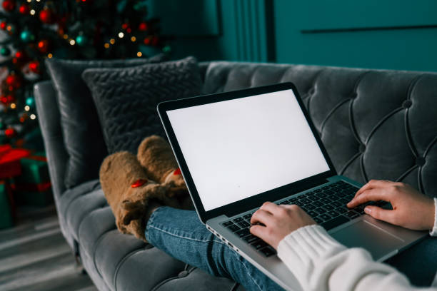 istock Young woman work on laptop computer with blank display screen with mockup copy space. Modern home living room interior design. Christmas, New Year decorated workspace 1804398485