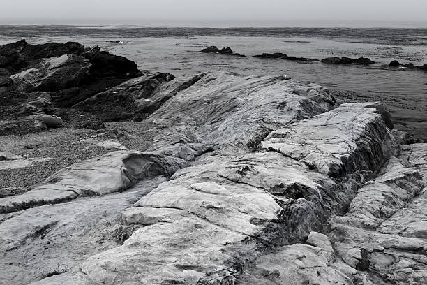 espectaculares formaciones rocosas en point lobos - point lobos state reserve big sur california beach fotografías e imágenes de stock