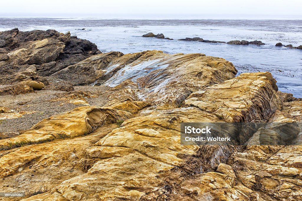 Spectacular Rock Formations at  Point Lobos Spectacular Rock Formations at  Point Lobos State Marine Conservation Area Animal Wildlife Stock Photo