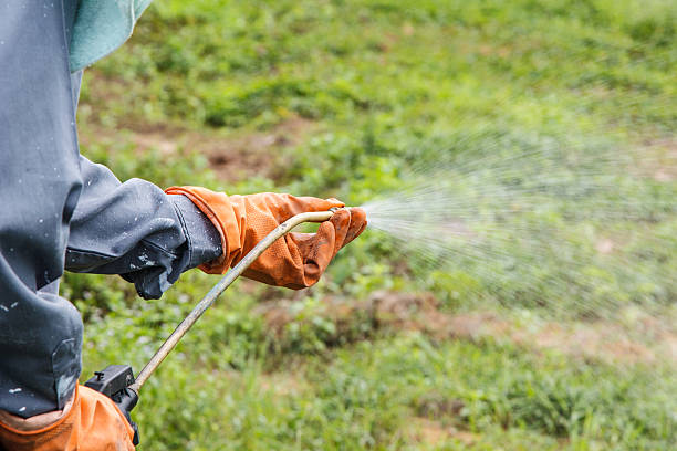 hombre está pulverización herbicide - herbicida fotografías e imágenes de stock