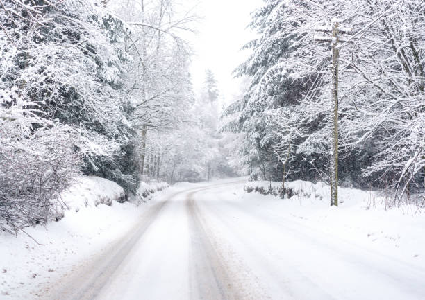 forest road im winter - drivers point of view country road snowing blizzard stock-fotos und bilder