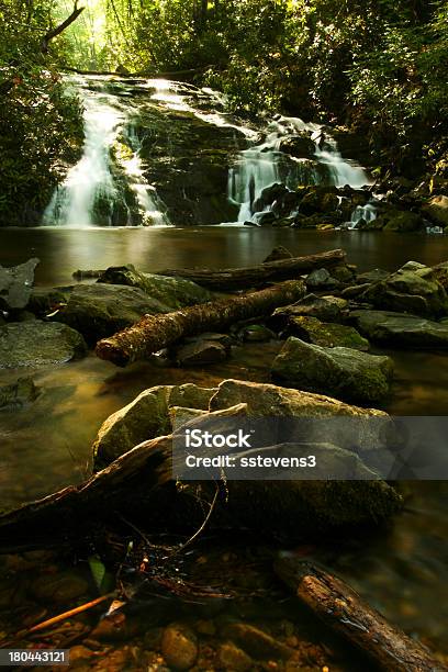 Indian Creek Falls - Fotografie stock e altre immagini di Albero - Albero, Ambientazione esterna, Carolina del Nord - Stato USA
