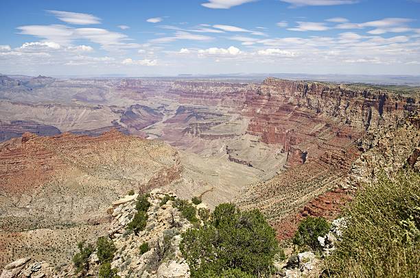 istock Summer in Grand Canyon 180443162