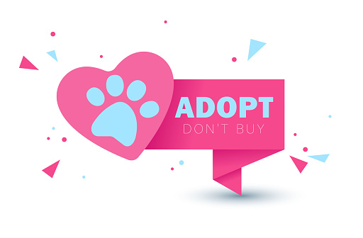 Pets adoption. Veterinary care and facilities. Homeless pet rescue. Pets in their new home. Humane shelter. Paper banner