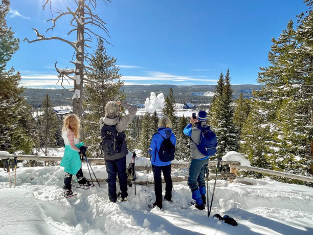 Four people snowshoeing Four acrive 60 year old seniors snowshoeing in Yellowstone on a sunny winter day with Old Faithful erupting in the background. upper geyser basin stock pictures, royalty-free photos & images