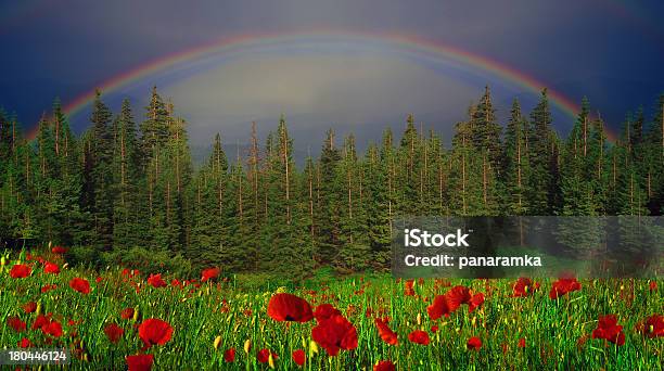 Rainbowbogen Stockfoto und mehr Bilder von Beengt - Beengt, Blatt - Pflanzenbestandteile, Blau