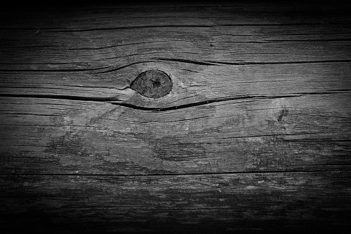 Texture of old black wooden trank