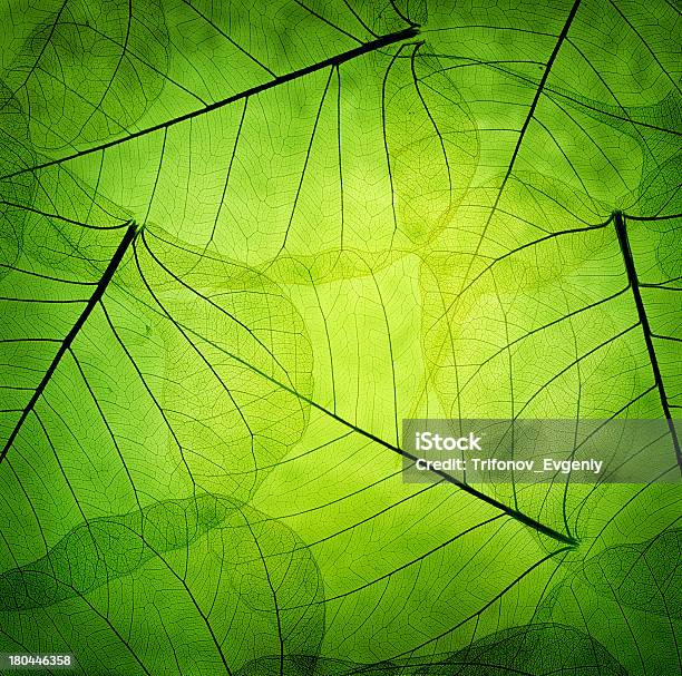 Green Leaves Stock Photo - Download Image Now - Abstract, Art, Art And Craft