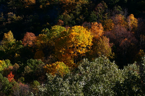 Autumn landscape in the mountains, view from the Casteil animal park, Pyrénées-Orientales