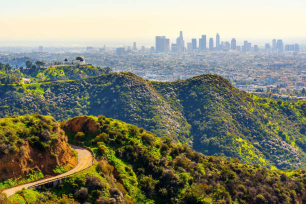 istock Urban Oasis: Griffith Observatory on Hollywood Hills 1804482845