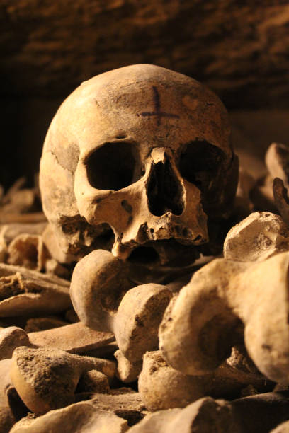 istock Inverted cross skull from Paris Catacombs 1804497728