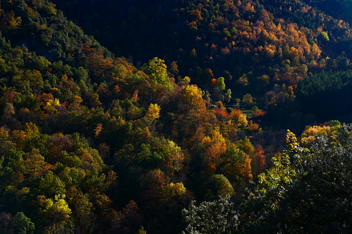 Autumn landscape in the mountains, view from the Casteil animal park, Pyrénées-Orientales