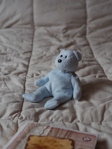 In this photo, a blue Teddy bear takes center stage, perched on the bed, surrounded by a backdrop of soothing pastel tones. A vintage-inspired notebook in the foreground adds a touch of nostalgia, completing the scene with a harmonious blend of soft hues and timeless charm.