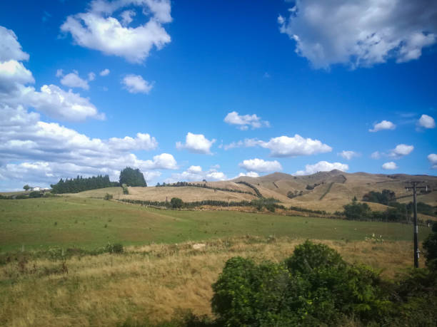 istock View to landscape,  pine Forest and hills in Hobbiton 1804519680