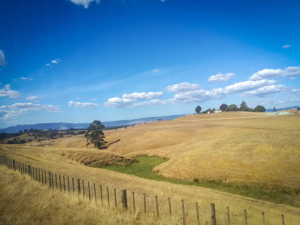 istock View to landscape,  pine Forest and hills in Hobbiton 1804519686