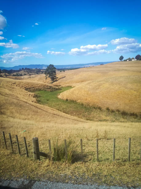istock View to landscape,  pine Forest and hills in Hobbiton 1804519688