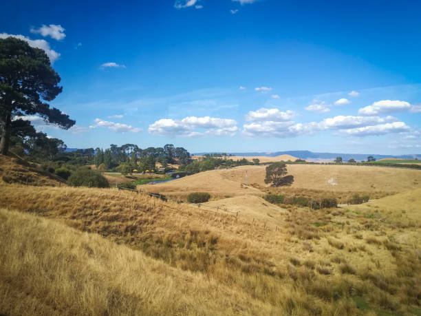 istock View to landscape,  pine Forest and hills in Hobbiton 1804525762