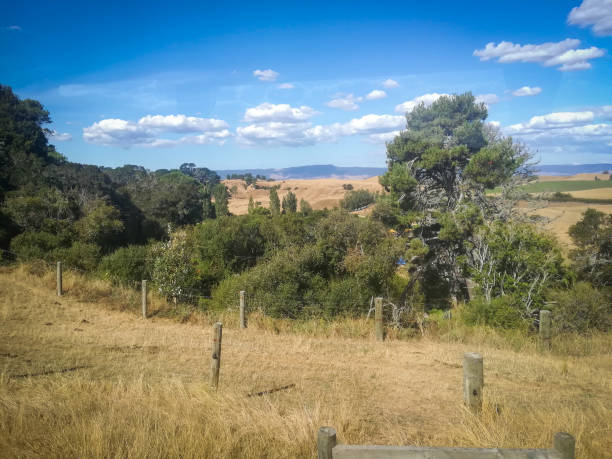 istock View to landscape,  pine Forest and hills in Hobbiton 1804535028