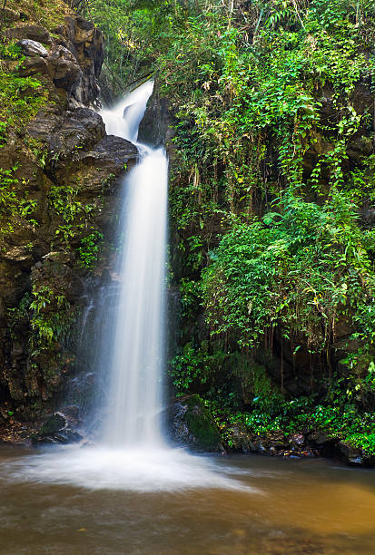 istock Line Waterfall and green leaves of a rainforest 180453544