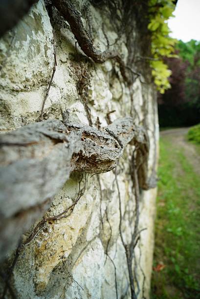 Rock wall stock photo