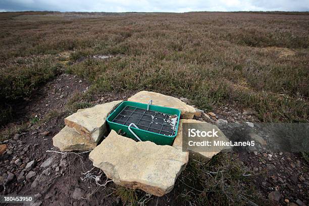 Lagópodo Escocés Lagopus Scoticus Foto de stock y más banco de imágenes de Altiplanicie - Altiplanicie, Deporte, Desparasitante