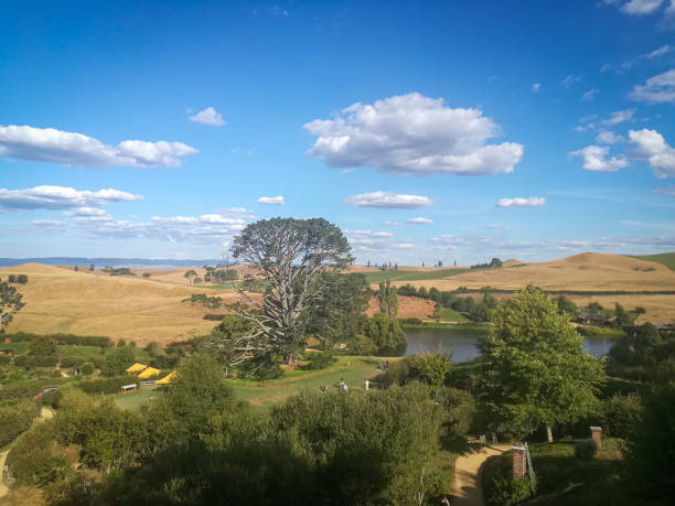 A child on a swing in a New Zealand rural scene on a summer's day.