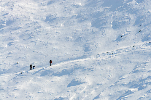Winter in the mountains. Three tourists on a hiking trail on a snow-covered slope.. Tatra National Park. Poland.