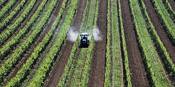 istock Tractor spraying pesticide 180457928