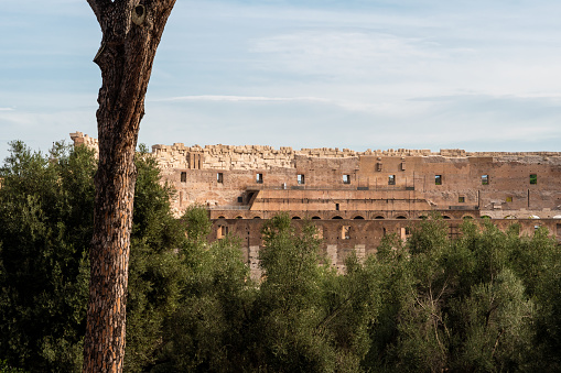 Colosseum seen from the Palatine Hill, Rome