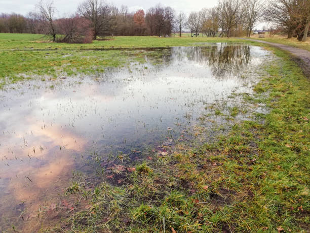 istock flooded field after heavy rain 1804609570