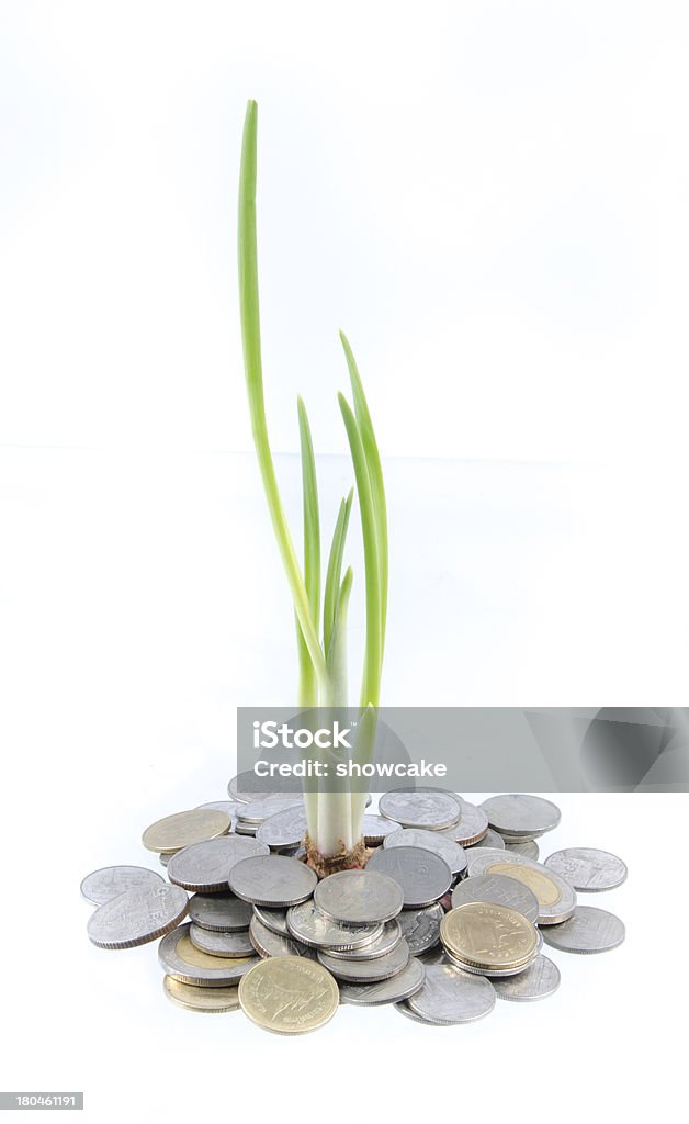 Green tree poussent sur l'argent pièces de monnaie - Photo de Activité commerciale libre de droits