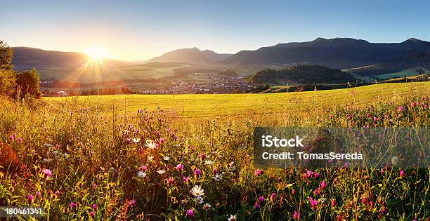 Sul Campo Di Fiori Tramontoslovacchia Tatra - Fotografie stock e altre immagini di Alba - Crepuscolo - Alba - Crepuscolo, Albero, Ambientazione esterna