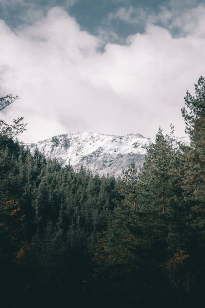 istock Snowy background high in the mountains. 1804630005