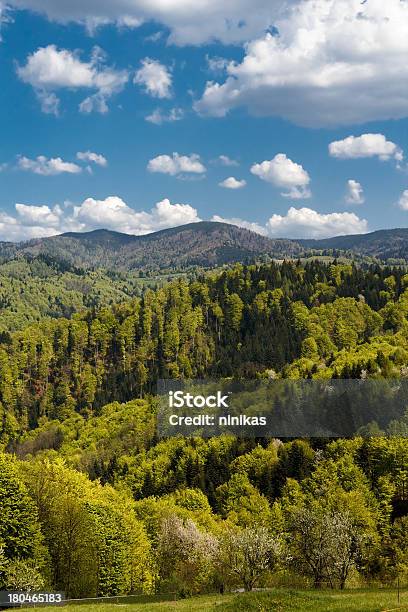 Foto de Paisagem De Montanha Em De Maio Beskid Polônia e mais fotos de stock de Azul - Azul, Beleza natural - Natureza, Beskid Mountains