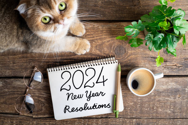 neujahrsvorsätze 2024 auf dem schreibtisch. liste der vorsätze für 2024 mit notizbuch, kaffeetasse, niedlicher katze auf dem tisch. ziele, vorsätze, plan, gemütlichkeit, hygge-konzept. neujahr 2024 hintergrund - determination new years eve list calendar stock-fotos und bilder