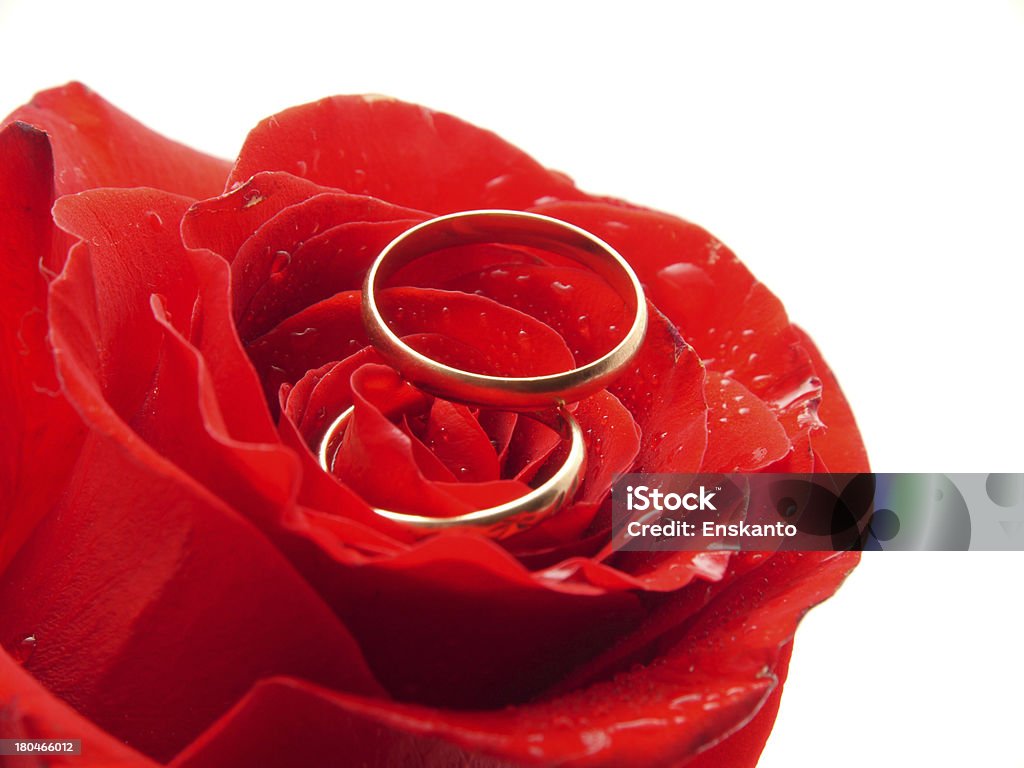 Rosas y anillos - Foto de stock de Anillo - Joya libre de derechos