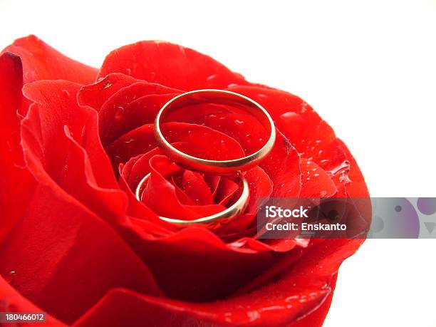 Rosas Y Anillos Foto de stock y más banco de imágenes de Anillo - Joya - Anillo - Joya, Belleza, Blanco - Color