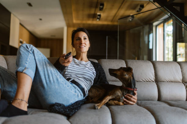 woman watching TV with her pet dog at home Woman in her early 40s relaxing with her pet dog at home, watching TV. lady dog stock pictures, royalty-free photos & images
