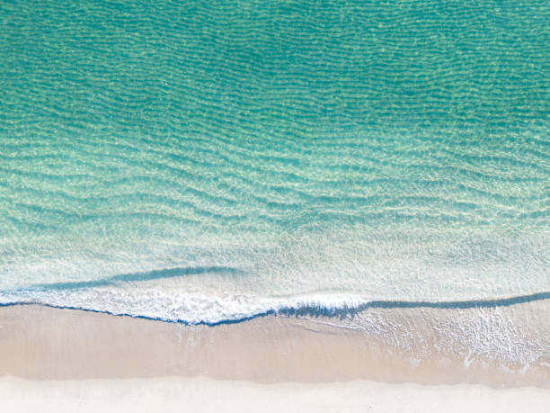Top down aerial of an ocean beach coastline Top-down aerial photograph of an ocean beach coastline with crashing waves. florida beach above stock pictures, royalty-free photos & images