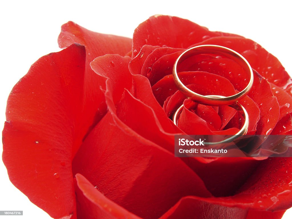 rose e anéis - Foto de stock de Anel - Joia royalty-free